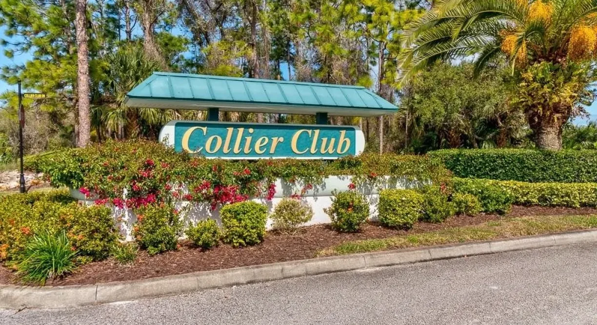 686-Gossamer-Wing-Way-Cheryl-Goff-16